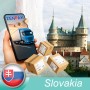 Доставка посылок в СЛОВАКИЮ | PACKETA | Отправка посылок из Эстонии